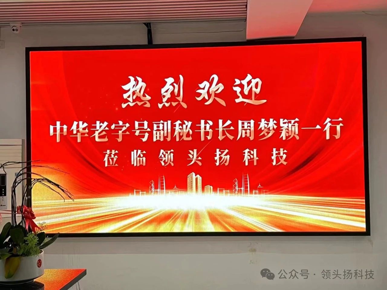 浙江省老字号企业协会莅临领头扬科技，共谋创新发展新篇章